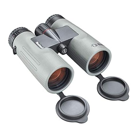 Bushnell Bn1042g Prismático de Alta Gama con Revestimiento Exo Barrier, 10X42 Cover