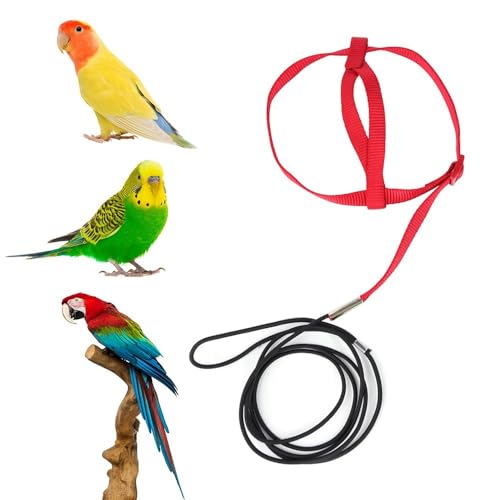 Image of Parrot Harness Leash, Anti Bite Bird Training Leash Adjustable Parrot Flying Rope for Parrot Budgerigar Lovebird Cockatiel