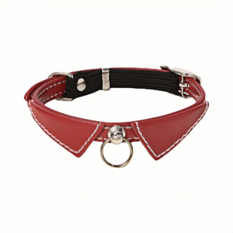 Collier en cuir personnalisé pour animal de compagnie avec plaque nominative gravée, convient pour les chats et les petits chiens