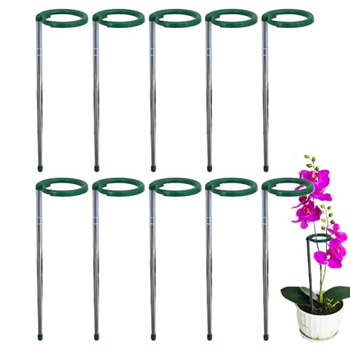Estacas para Plantas De Interior,Tutores Extensibles para Plantas De Interior - 10 Piezas Varilla De Acero Inoxidable,para Tomates Judías Lirios Girasoles Bonsái