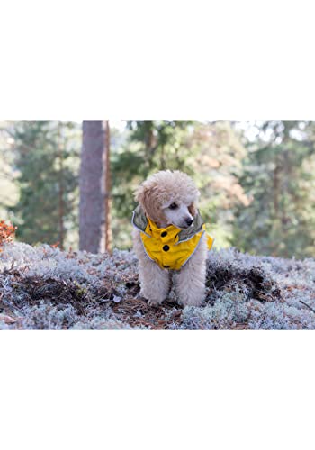 Rukka Pets Stream Regenmantel für Hunde Gelb 25
