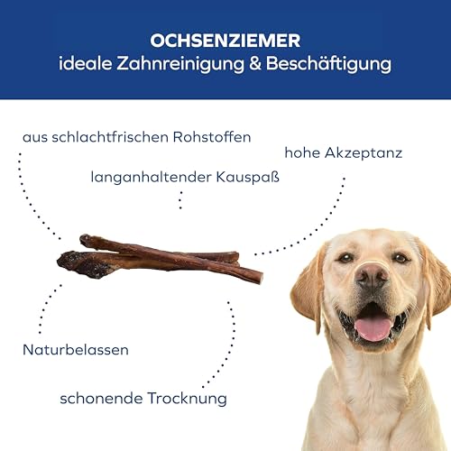 Tiernahrung Schwenner – Ochsenziemer für Hunde – 30cm große Kauartikel - 8 Stck. für langanhaltenden Kauspaß