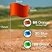 Zozen 100Pack Marking Flags, 60 Orange & 20 Green & 20 Blue, Writable / 15x4x5 Inch, Yard Flags for Lawn & Irrigation & Landscape & Sprinkler & Survey & Dog Training.