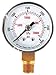 Pressure Gauge, Test, 1-1/2 in
