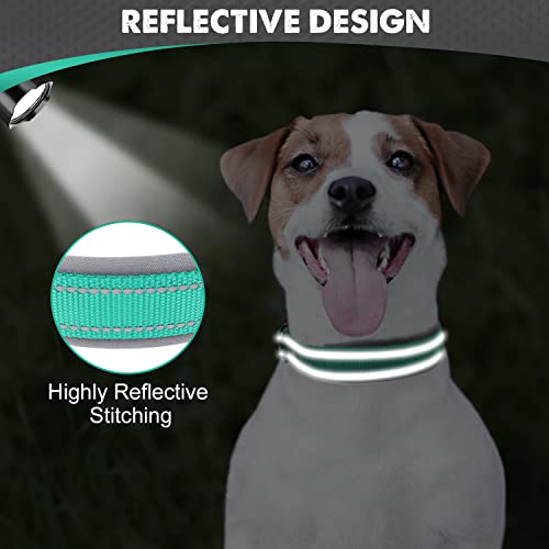 Image of Joytale Dog Collar for Small Dogs, Neoprene Padded and Adjustable, Reflective Wide Heavy Duty Pet Collars with Durable Metal Belt Buckle for Walking, Teal, S