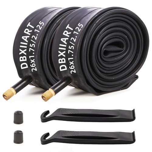 Heavy Duty Bike Tubes 2PCS 12