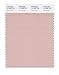 Produktbild PANTONE SMART 14-1506X Color Swatch Card, Rose Smoke by Pantone