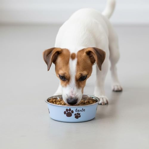 Hundenapf personalisiert aus Edelstahl S 450 ml Hellblau – rutschfest, leicht & hygienisch – Futter- & Wassernapf mit Namen für kleine Hunde & Katzen