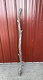 Custom Dream Catcher Hanging Driftwood Pole - 2-3 Inches Thick and 52 Inches Long