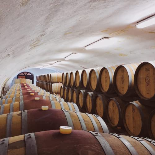 Lampade a LED da 50 W, 50 m, con attacco a LED e