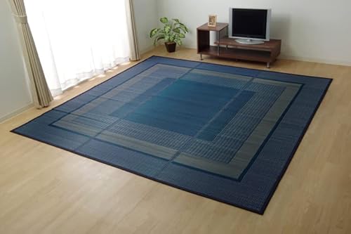 CPqR ԂJ[ybg Y DXNX lCr[ 261×352cmE]ˊ6 4131606