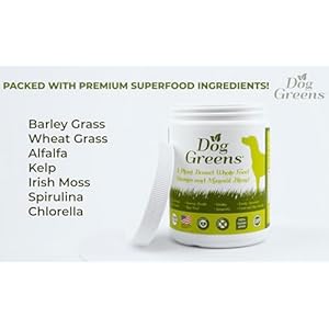 Superfood Rich in Antioxidants Multivitamins Minerals Prebiotics Skin  Immune Health  Excellent for Seniors Active Dogs  Puppies  Cucciolini Doodles Superfood rich in antioxidants multivitamins minerals prebiotics skin  immune health  excellent for seniors active dogs  puppies   cucciolini doodles