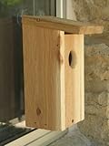 Backyard Boys Woodworking BBW55 Window Mount Bird House