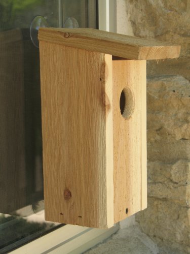 Backyard Boys Woodworking BBW55 Window Mount Bird House