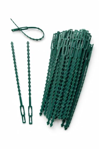 Flandria 50 Attaches Plantes Réglables 23cm – Liens Réutilisables pour Plantes et Potager - Attache Tuteur Vert