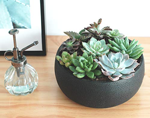 Nattol Succulent Planter, 8.9 inch Modern Style Round Cement Succulent Plant Pot/Cactus Holder (Black)