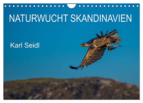 Naturwucht Skandinavien (Wandkalender 2026 DIN A4 quer), CALVENDO Monatskalender: Landschaft und Tierwelt Skandinaviens (CALVENDO Natur)