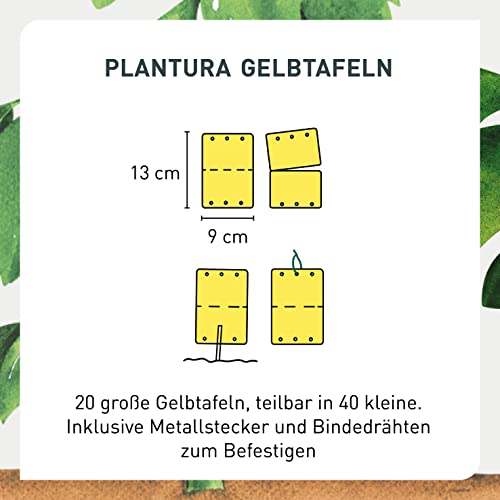 Gelbtafeln Plantura gegen Trauermücken und fliegende Schädlinge