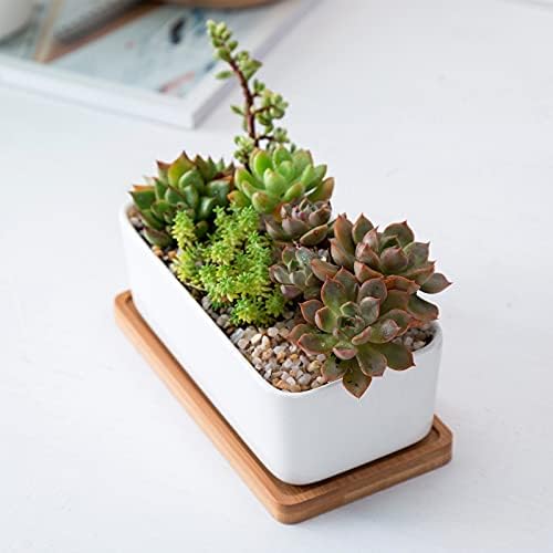 White Ceramic Succulent Planters, ARVINKEY Indoor and Outdoor Succulent Planters, Set of 2 Small Cactus Containers, Bonsai Pots, Flower Pots with Drainage Hole and Bamboo Bowl (No Plant)
