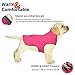 Petglad Dog Coat, Waterproof Dog Winter Jacket with Pocket, Reflective Adjustable Pet Snow Vest, Warm Cozy Fleece Sweater for Small Medium Extra Large Dogs - Pink, XS