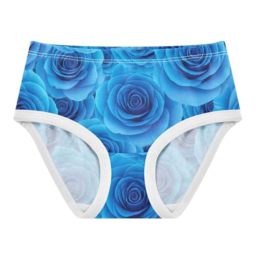 Florals Toddler Underwear Floral 2t Cotton Girl Panties Cute Blue Roses Kids Undies Briefs