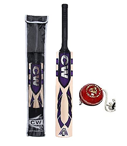 Batte de cricket en saule CW avec balle suspendue pour progresser seul facilement