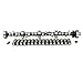 Lunati 20350612LK EFI 210/218 EFI Hydraulic Roller Cam/Lifter Kit Ford 351W and 302 H.O.