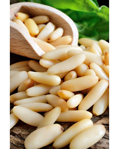 Image of Purani Dilli Se Chilgoza Giri 250g | Premium AAAAA Grade Pine Nuts Kernels & Pine Seeds | Exotic PIne Nut Dry Fruits Rich in Protein, Healthy Fats & Nutrients | Ready to Eat Chilgoza for Snacking, Cooking & Gifting