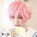 Produktbild Cosplay Perücken Anime Moon Song wie Moon Love Akita Fujishiro Traum 100 Shinata Pink Short Hair