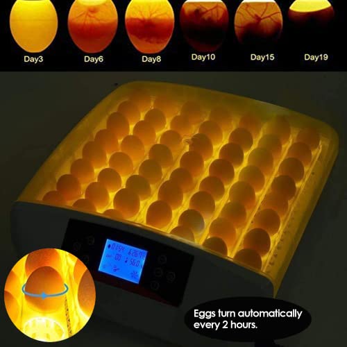 VIEWGOOD Incubatrice per Uova automatica, Girauova...