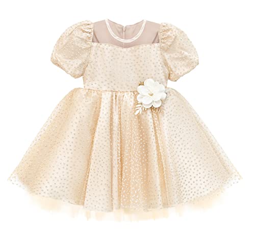 Lilax Little Girls Glitter Tulle Dress, Sparkle Polka Dots Princess Gown2