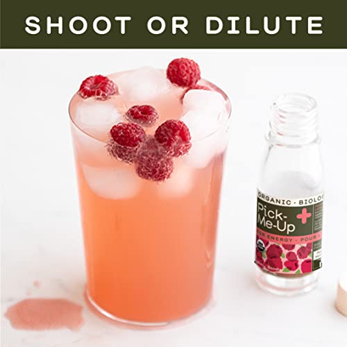 Greenhouse Juice Organic Pick-Me-Up Wellness Shots 12-Count 60ml Glass Bottles | Yerba Mate + Green Tea Energy | Vegan & Gluten-Free - Image 6