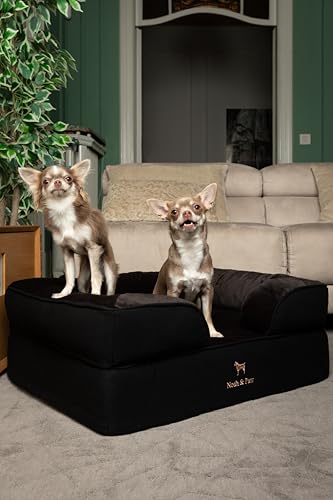 Image of NOAH & PAW Dog Bed, 28x23x11 Inch, Orthopedic Dog Beds for Medium Size Pets, Eggshell Memory Foam Infused with Cooling Gel, Inner Cover, Water Resistant, Machine Washable (Denim Sofa Collection)
