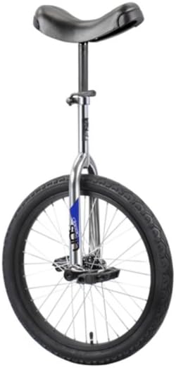 Sun Bicycles Unicycle Classic 20 Inch Chrome/Black