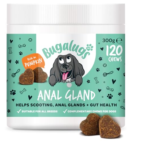 Bugalugs Anal Gland Dog Chews with Pumpkin Powder For Dogs & Probiotics for dogs. Grain free dog treats rich in Quercetin, Bromelain & dog Fibre helps Anal Glands, Scooting + Gut Health -120 chews Bugalugs Anal Gland Dog Chews with Pumpkin Powder For Dogs & Probiotics for dogs. Grain free dog treats rich in Quercetin, Bromelain & dog Fibre helps Anal Glands, Scooting + Gut Health -120 chews