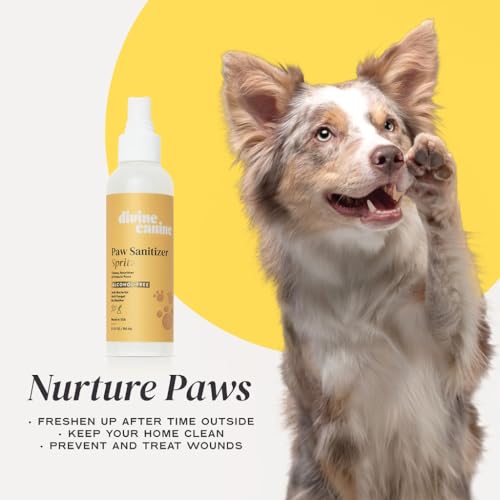 Image of Dog Paw Cleaner Spray - Aloe No-Rinse Paw Wash - 5.1 Fl Oz | Alcohol-free aloe dog paw cleaner spray with copaiba & lemongrass to clean muddy paw pads after walks - no rinse, USA