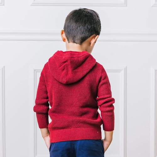 Image of Hope & Henry Boys' Hooded Pullover Sweater