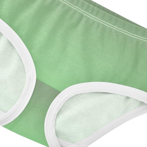 Joisal Camouflage Green Light Gradient Toddler Girls Underwear 2t Cotton Little Girl Panties Stylish Undies Kids Briefs4