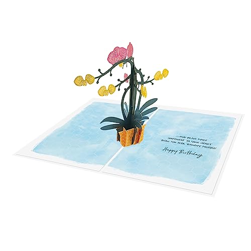 Designer Pop!a|bvAbvO[eBOJ[h ? 3DAtt[fUC Fl/Ƒ/ʂȐl̂߂̃J[h (J[h1ƉF̕1)