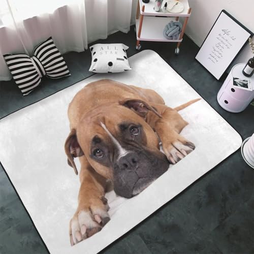 �J�[�y�b�g �{�N�T�[�� �����` ���O�}�b�g ���O �O�~ �ėp �h�_�j �R�� �h�� �h�L �ӂ���Ǝ�G�� ������� �D�����t�����l�����O ���g�[�Ή� �􂦂� ����~�ߕt �l�C �v���[���g 100 × 150 cm HNV176VC