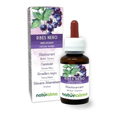 Grosellero negro (Ribes nigrum) hojas y frutos Tintura Madre sin alcohol Naturalma - Extracto líquido gotas 60 ml - Complemento alimenticio - Vegano