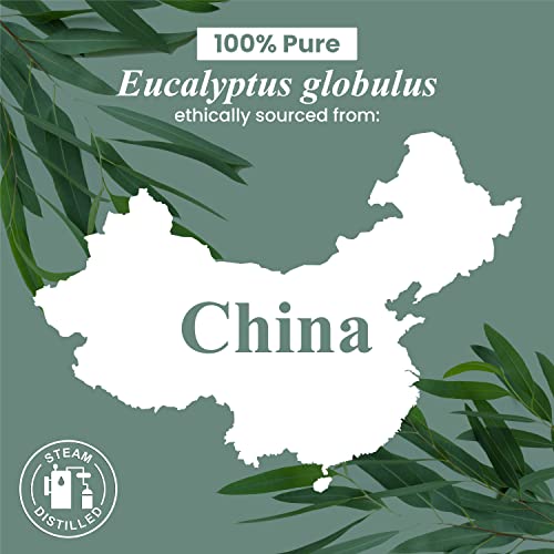 Handcraft Eucalyptus Essential Oil - 100% Pure And Natural - Premium Therapeutic Essential Oil For Diffuser And Aromatherapy - 0.33 Fl Oz #TOP5