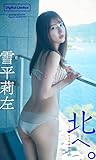 雪平莉左『週プレ プラス！』アザーカット集「北へ。～prologue～」 週プレ PHOTO BOOK