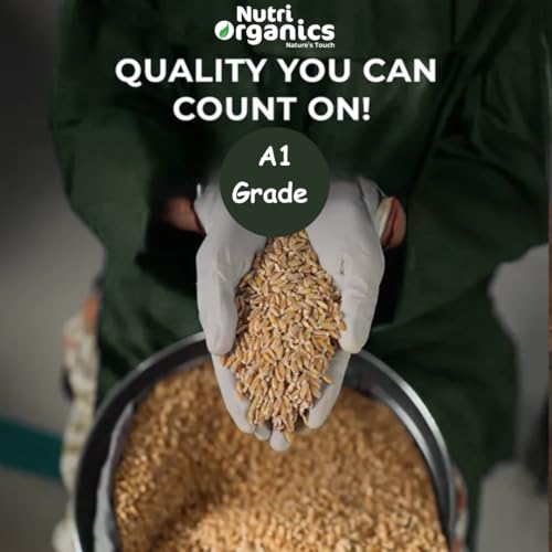 Image of NutriOrganics Pure Whole Khapli Emmer Wheat - 2 Kg | High Fibre & Easy to Digest | Whole Grain for Weight Management | Natural & Unpolished Emmer