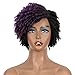 FASHION IDOL Dreadlock Wig Synthetic Short Kinky Curly Wig Ombre Purple Afro Twist Wig For African American 4C Kanekalon Wig Flame Retardant (DYTD 1B/M.PU3)