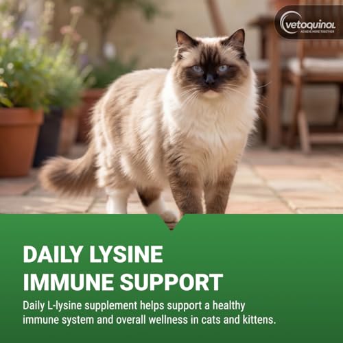 Vetoquinol Enisyl-F Lysine Bites - L-Lysine Chews for Cats & Kittens - Daily Supplement for Immune, Respiratory & Eye Health Support - Aids with Sinus Congestion, Sneezing & Runny Noses - 6.4oz (180g) - Image 2