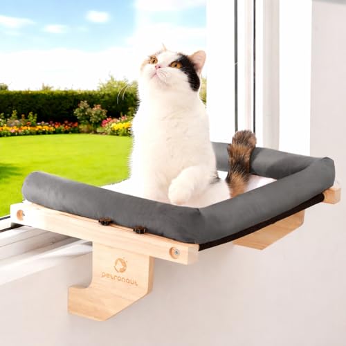 Cat Window Perch + Bonus Toy