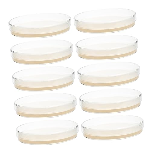 BELLIFFY 10ȊwtFAvWFNgLbg V|nςݔ|{ygM 9cmTCY wȎpgD|{v[g