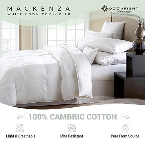 Downright 233 Thread Count 39 Oz Mackenza Comforter, 86" X 86", Queen 86X86 #TOP3
