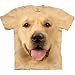 The Mountain Men's Big Face Golden T-Shirt, Yellow, X-Large